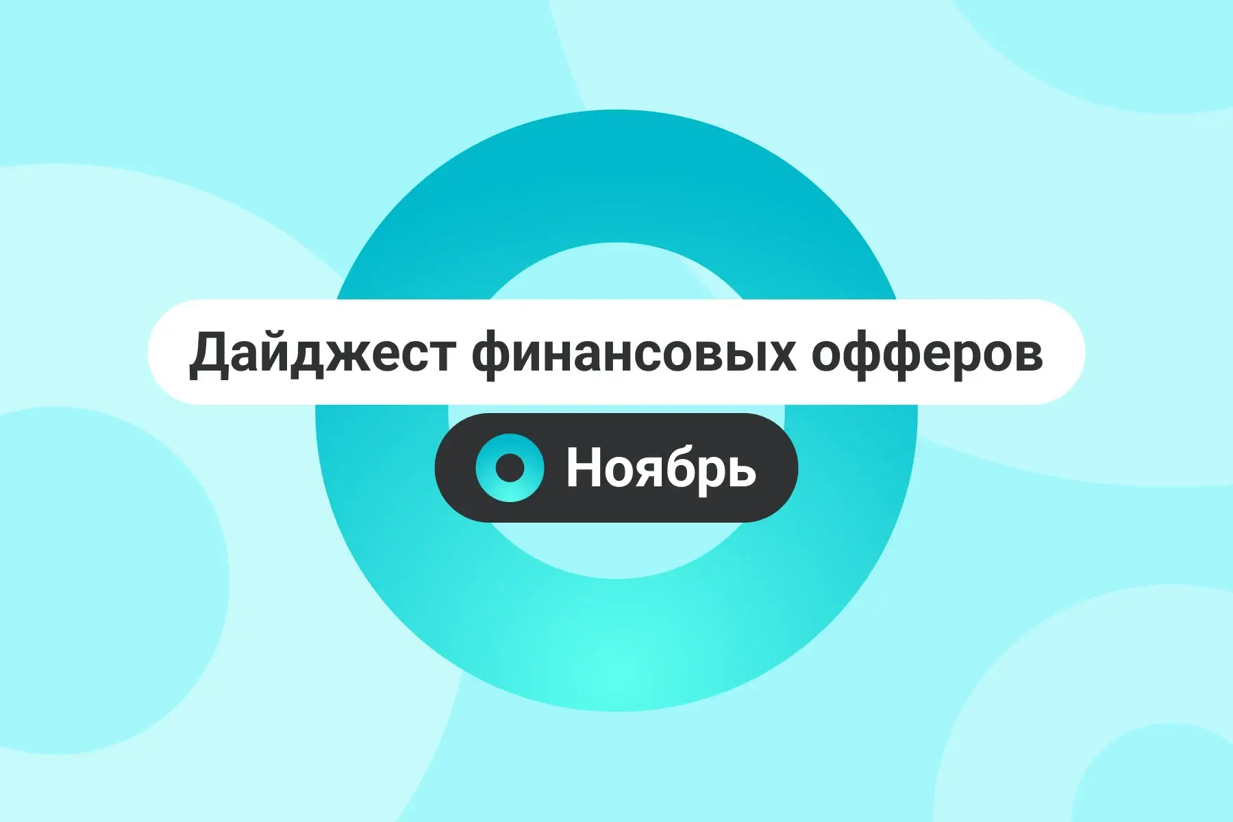 Финансовые офферы. Ноябрь 2025